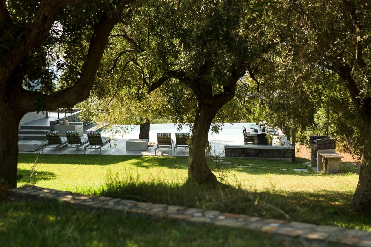 Olivia Estate Elia Nikitis Exterior foto
