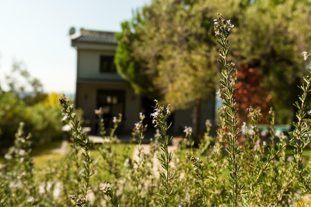 Olivia Estate Elia Nikitis Exterior foto